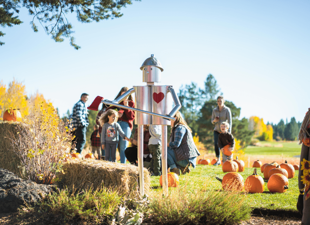 A metallic Tin Man statue with a red heart stands in a pumpkin patch. Families and children are scattered in the background, gathering pumpkins on a sunny day.