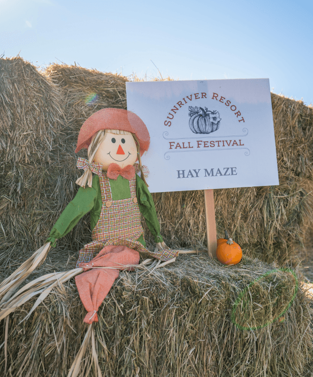 A scarecrow doll sits on hay bales next to a small pumpkin and a sign that reads Sunriver Resort Fall Festival Hay Maze in a festive autumn setting.