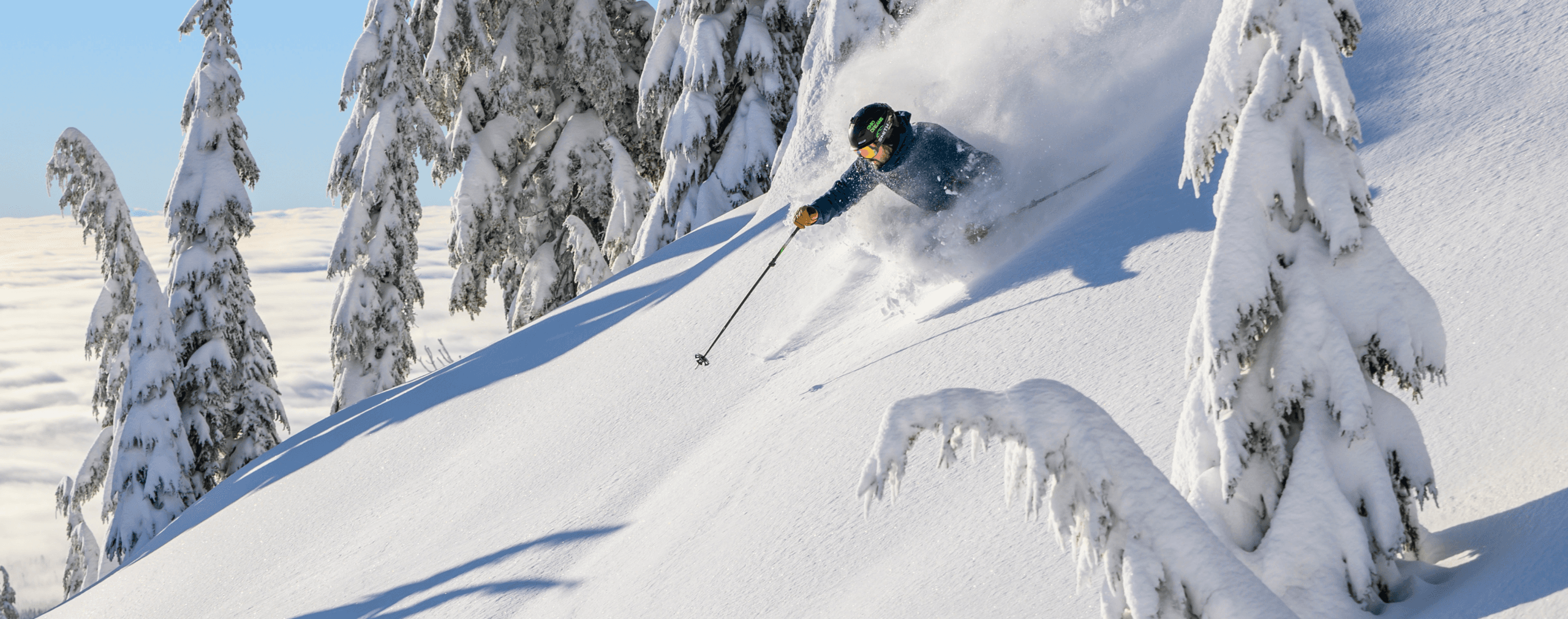 A skier in winter gear carves through fresh powder down a steep, snowy slope surrounded by snow-covered pine trees under a clear blue sky.