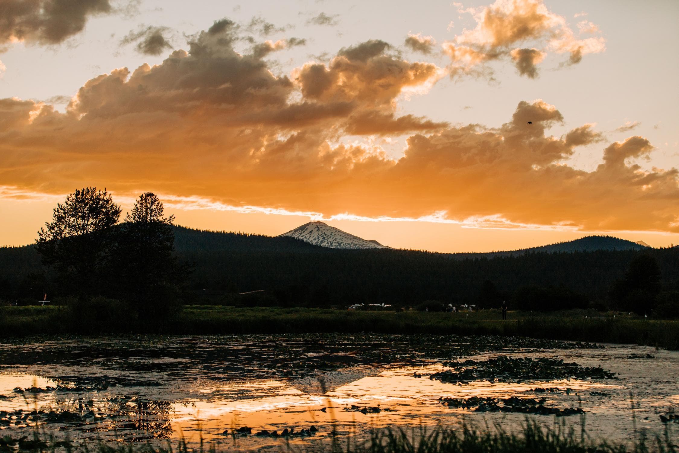 A sunset sky with orange clouds over a snow-capped mountain, dark hills, and a reflective pond with water plants in the foreground.