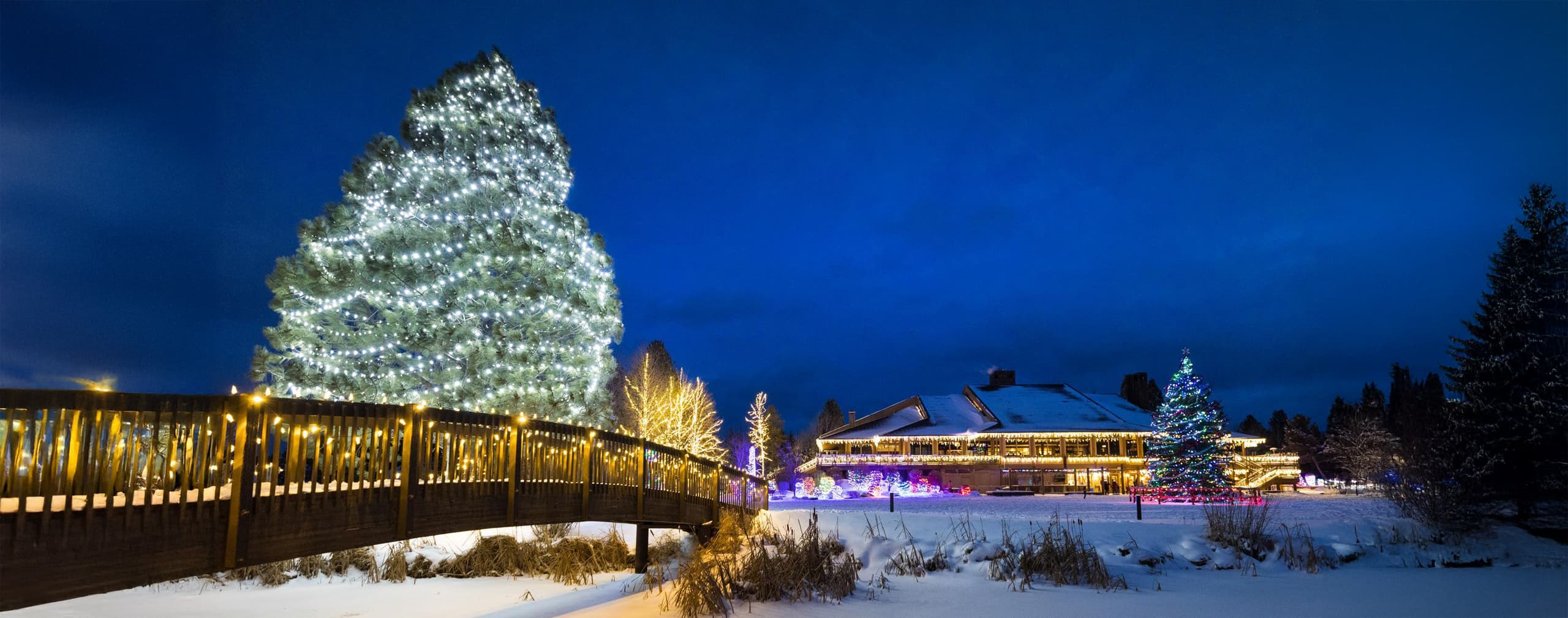 A large, snow-covered tree decorated with white lights stands near a wooden footbridge and a brightly lit building, all surrounded by snow at dusk.