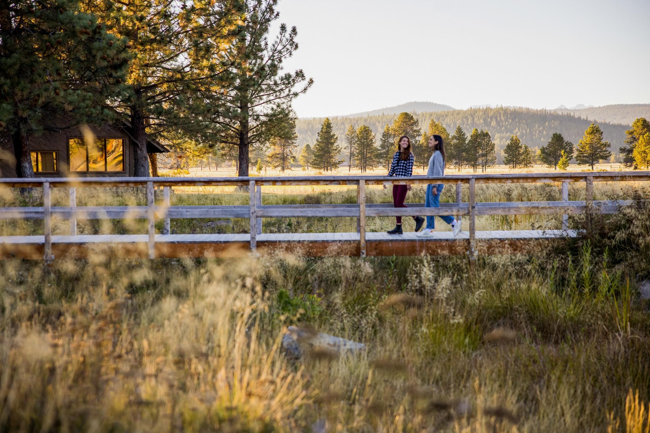 Two people walk across a wooden bridge in a scenic, grassy area with pine trees and distant mountains on a sunny day.