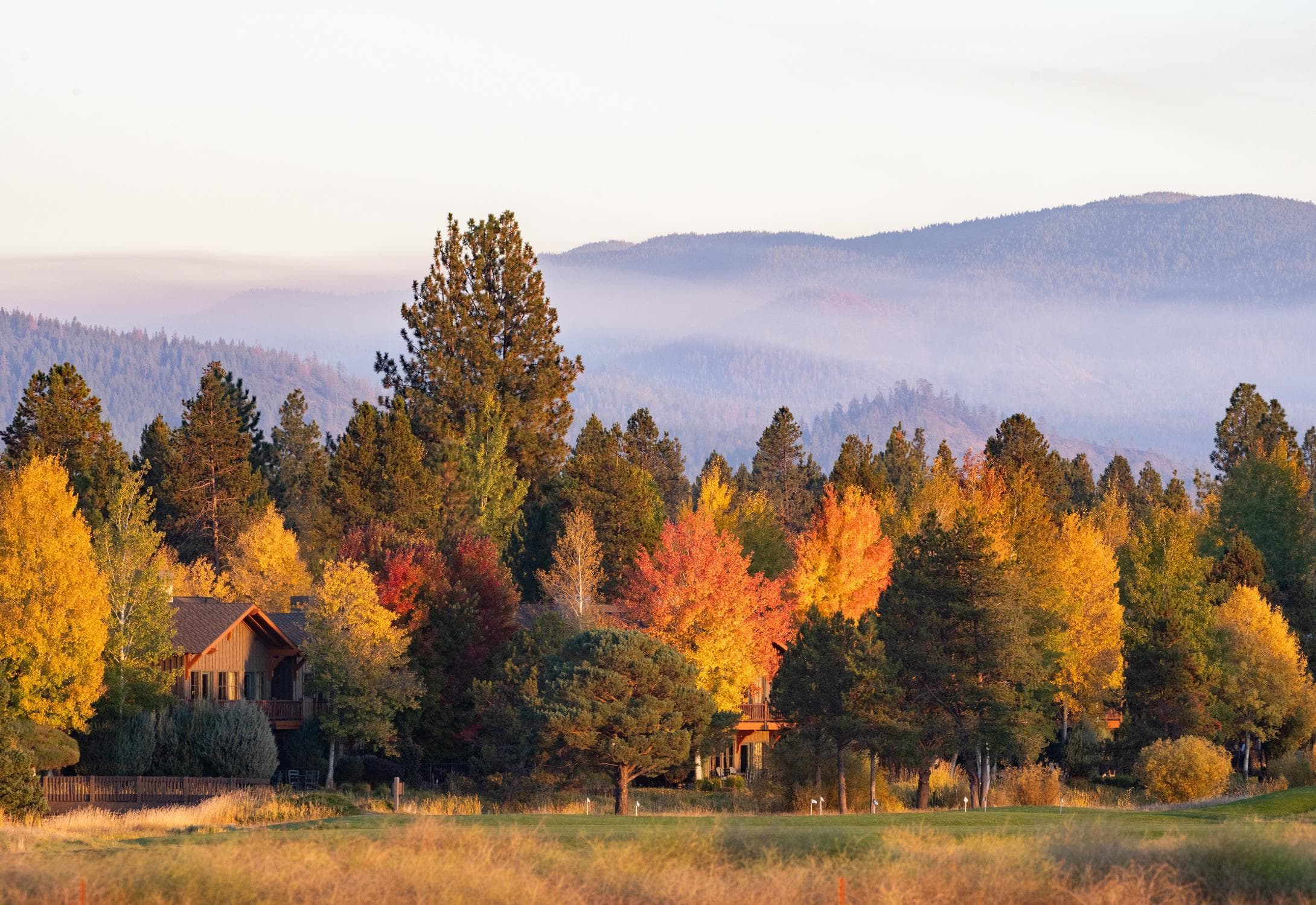 Colorful autumn trees surround houses, with misty mountains and a soft sky in the background, evoking a peaceful, rural setting.
