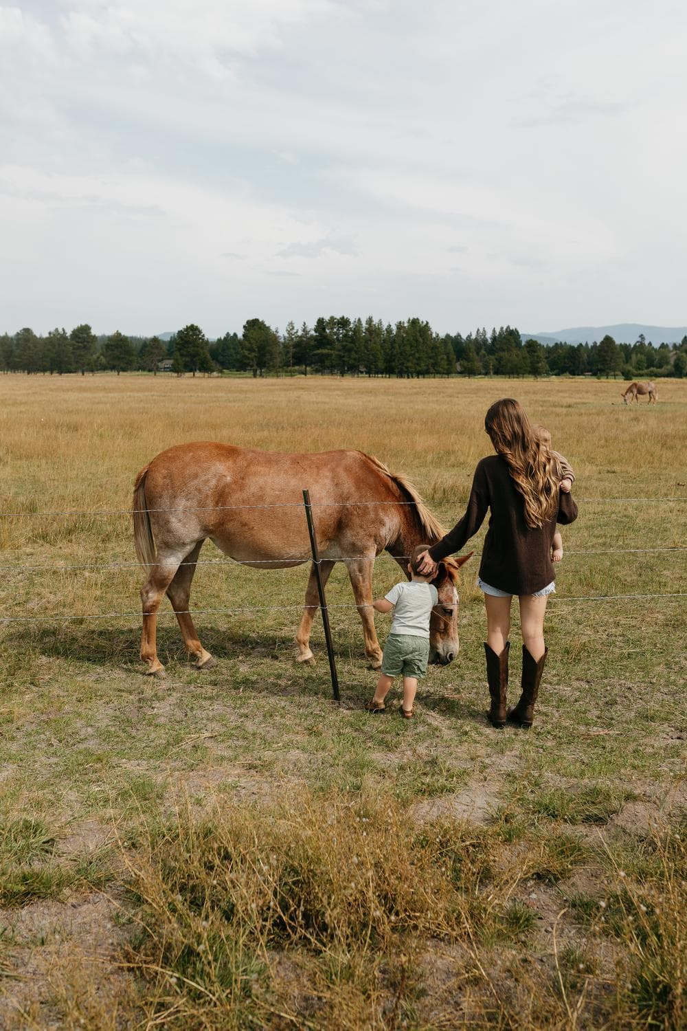 A woman with long hair and two young children stand in a grassy field petting a brown donkey. Trees and mountains are visible in the distance under a cloudy sky.
