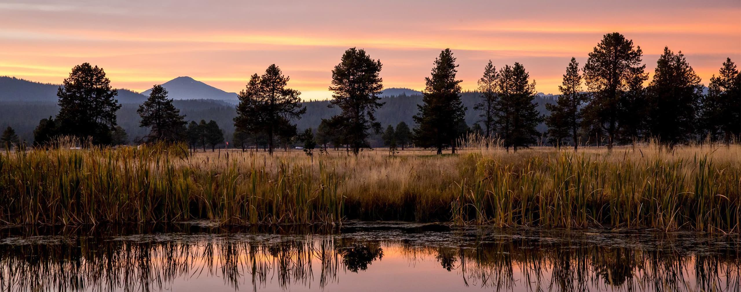 A calm pond reflects tall grass and trees at sunset, with mountains in the distance beneath a colorful orange and pink sky.
